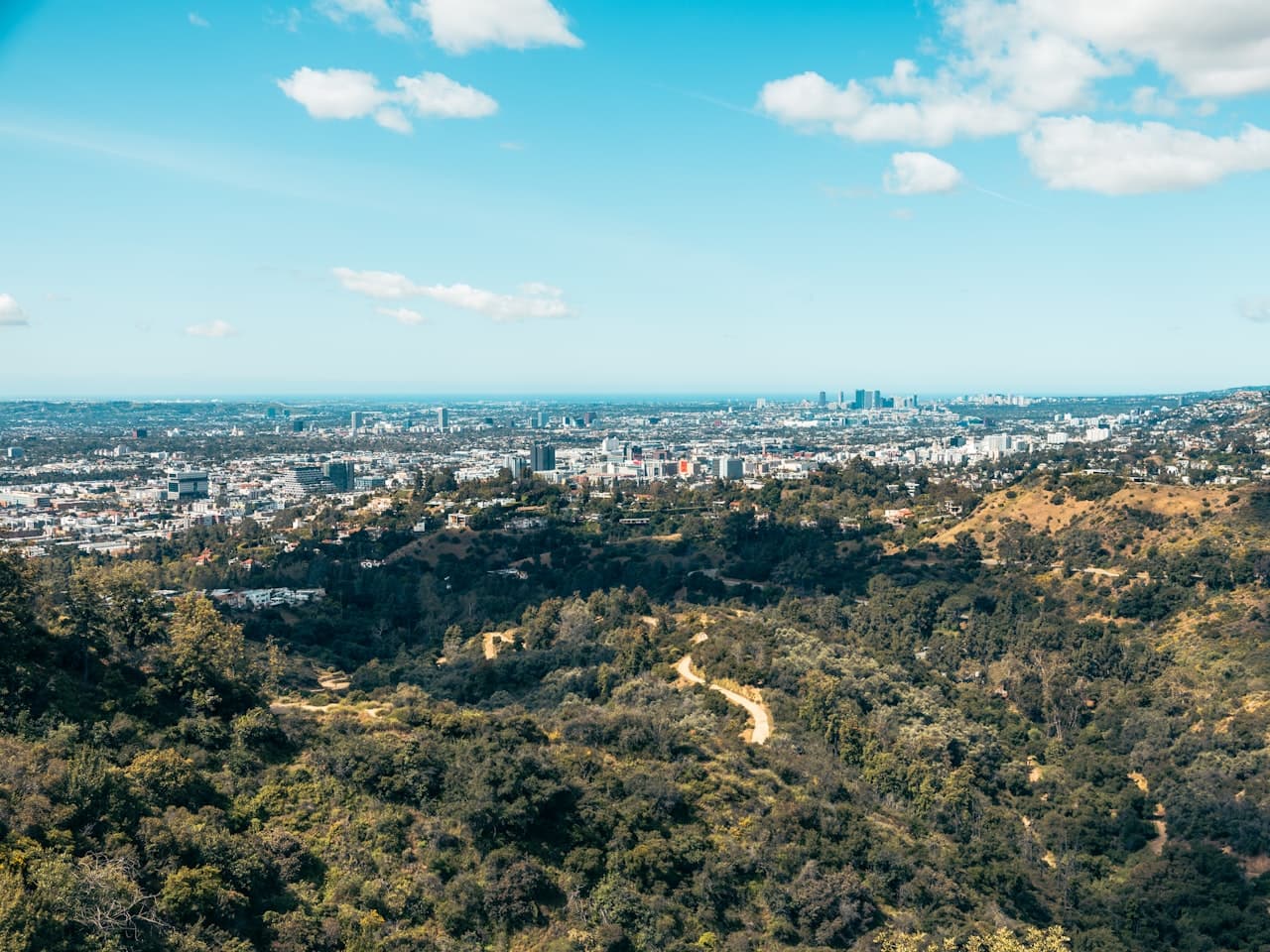 Homes in the Glendale area, Los Angeles: insured, flat-rate handyman services