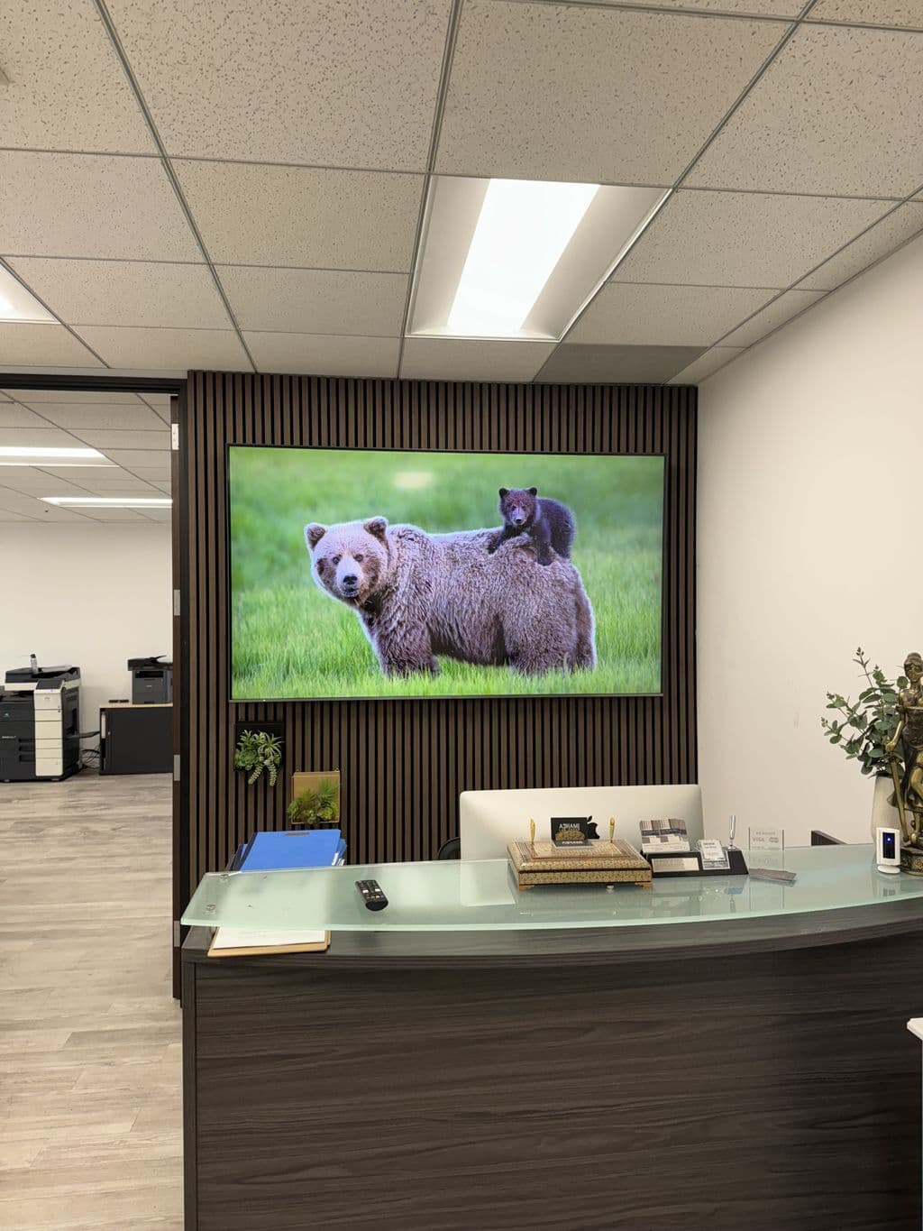 TV Mounting by an insured handyman in Los Angeles, flat-rate and same-week