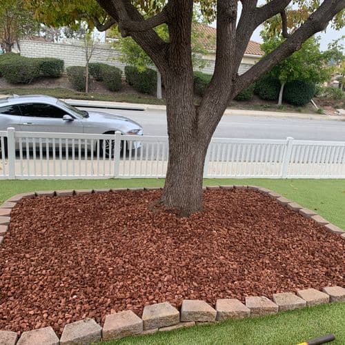 Tree ring filled with red lava rock and paver edging. Work by Construction Hub in Los Angeles.