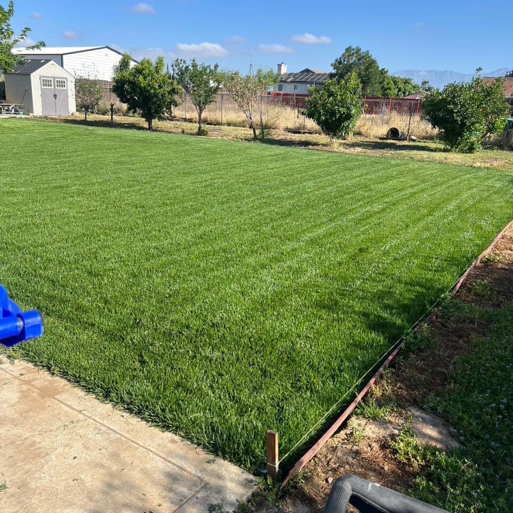 Green backyard lawn with sprinkler head at edge. Work by Construction Hub in Los Angeles.