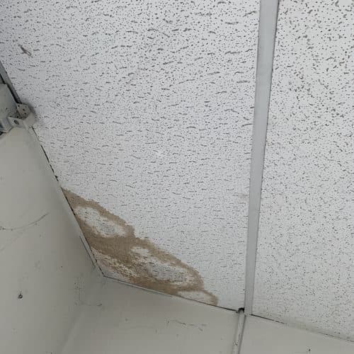 Brown water stain spreading across a textured ceiling tile. Work by Construction Hub in Los Angeles.