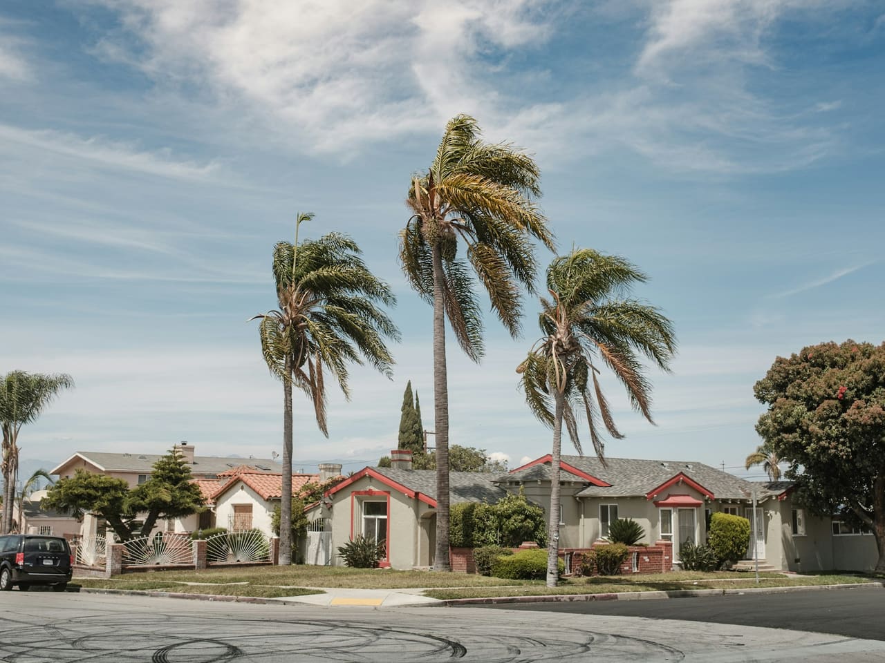 Single-story houses and tall palms on a sunny street corner in the South Bay