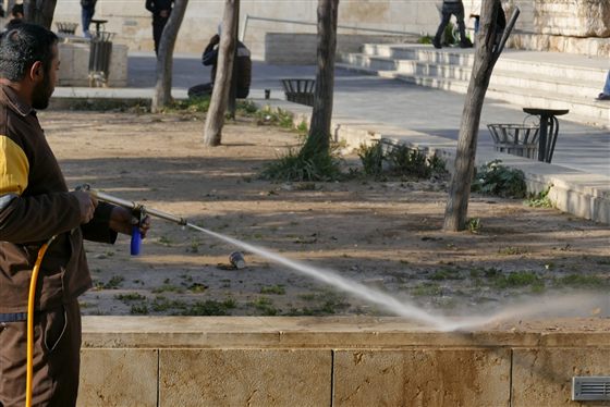 Pressure Washing: handyman service in Los Angeles