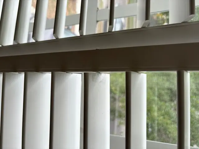 Vertical blind vanes hanging the full height of a window with greenery outside. Work by Construction Hub in Los Angeles.